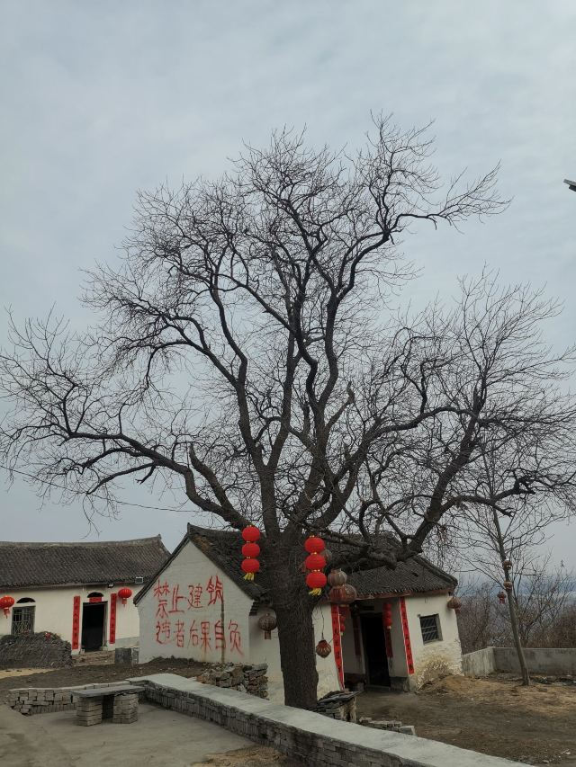 黄帝故里旅行图片
