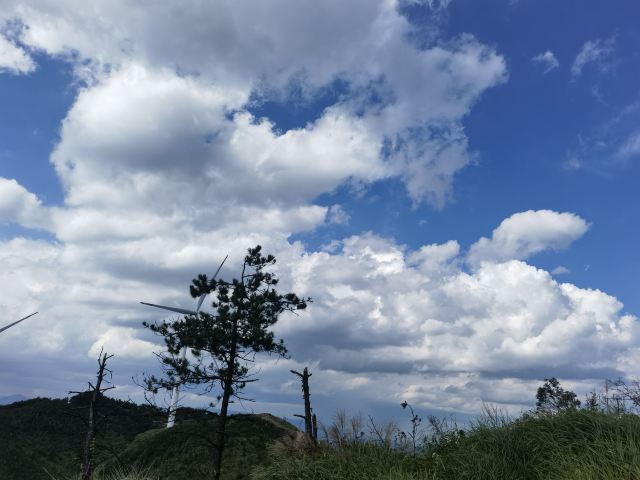 万洋山景区旅行图片 3