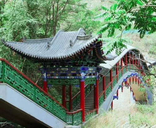 五泉山公园旅行图片 2