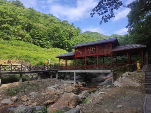 西塞国森林公园