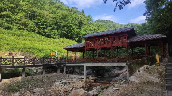 西塞國森林公園