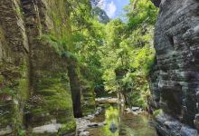 施秉佛顶山森林公园景点图片