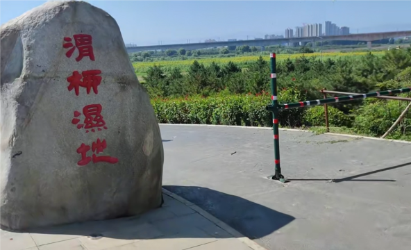 渭柳湿地公园