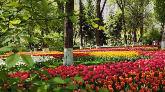 景熙豐濕地生態園