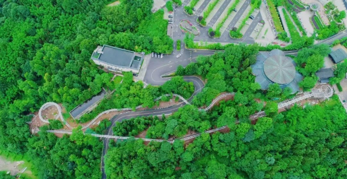 碧峰峡丛林过山车