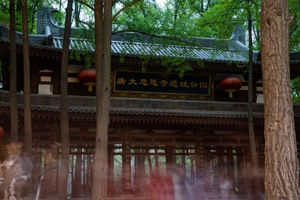 Gallery 1