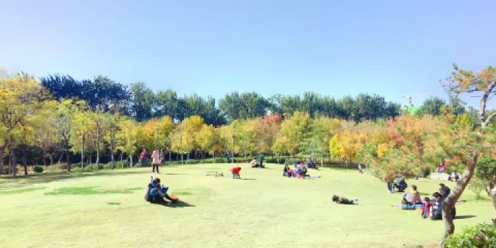 濟南森林公園