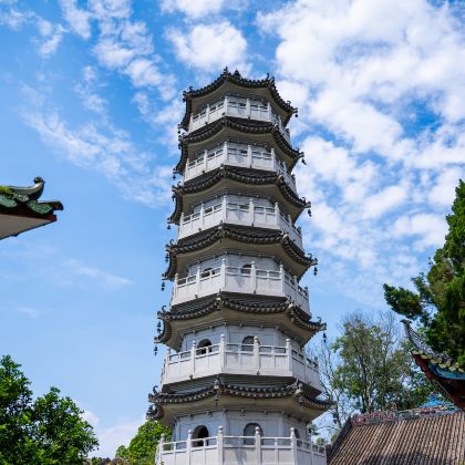 云浮+新兴天露山旅游度假区+六祖故里旅游度假区+国恩寺+水东古村落+蟠龙洞5日4晚私家团