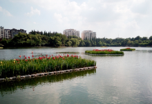 北湖公园景点图片