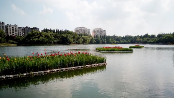 北湖公園
