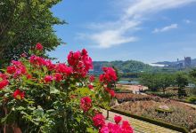 Rose Park景点图片