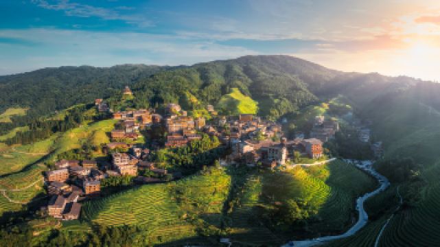 平安壮族梯田观景区