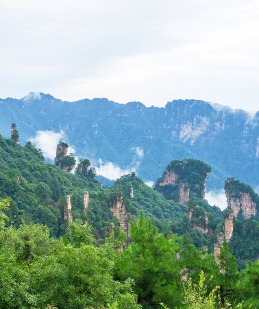 3日2晚 • 張家界+武陵源+大峽谷+黃龍洞景區+天門山