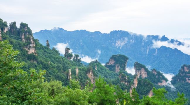 賀龍公園-仙女散花