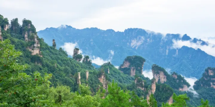 賀龍公園-仙女散花