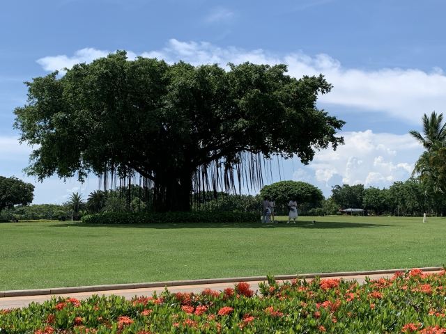 海口城市中央公园旅行图片 8