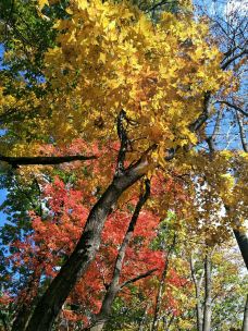 猴石国家森林公园-新宾-YoYo_8B6E7T2S