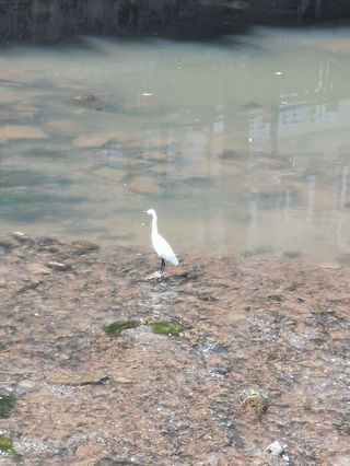 国庆骑行记—微信在内—瘸腿女骑逛闽西北DAY3&DAY4