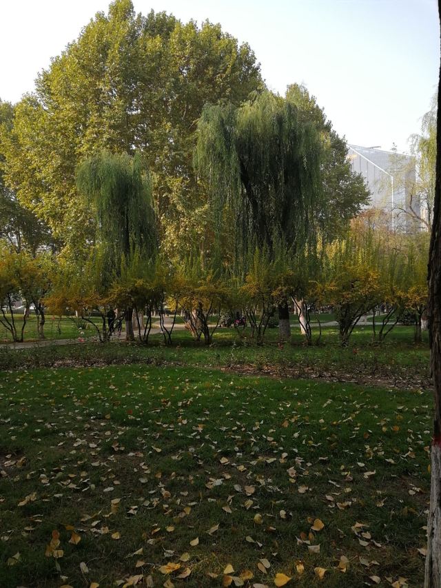 水上公园旅行图片 2