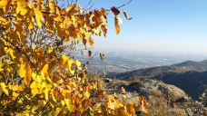 香山公园-北京-YoYo_3C8H0L7P