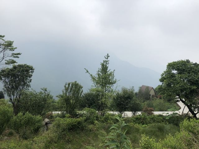 川西红枫岭旅行图片 6