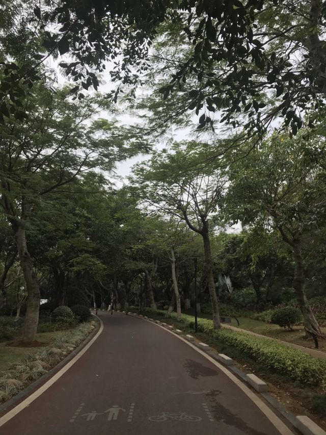 五缘湾湿地公园旅行图片 3