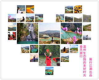 人间四月芳菲时,慢行温州,4天三晚实用攻略,遇见一场江南花事