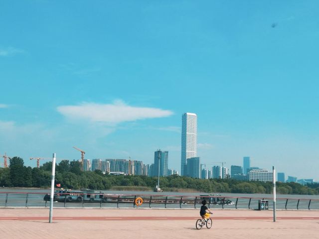 上海市滨江滑板公园旅行图片 1