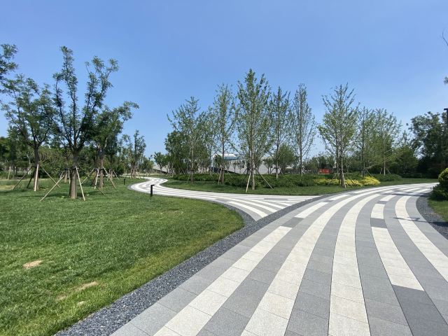 光年城中央公园旅行图片 1
