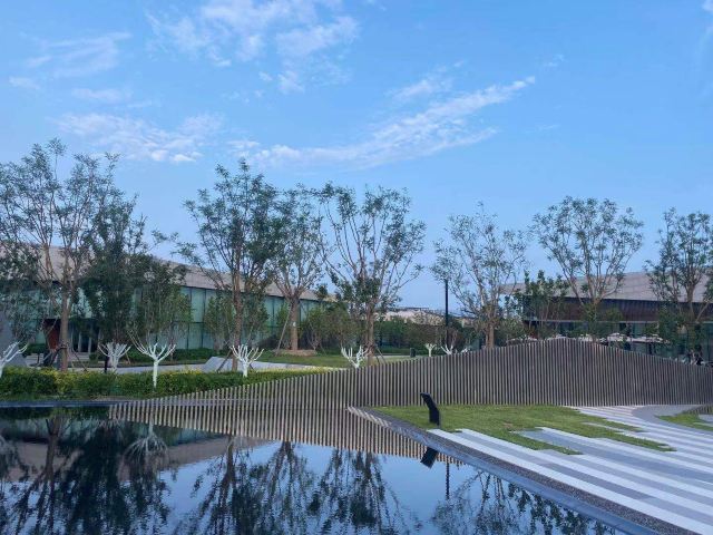 光年城中央公园旅行图片 5
