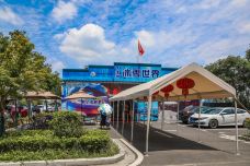 下渚湖·湿地公园-德清-栗子树Tree