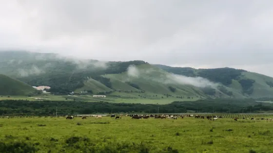 永志馬場