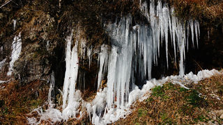 冬日四明山-冰天雪地，玉树琼枝
