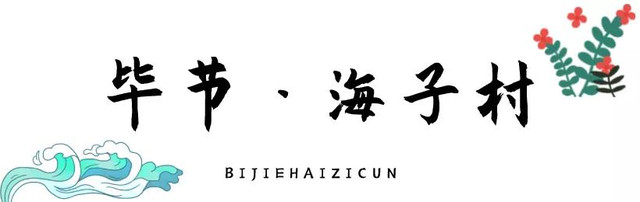 乡游黔中│惊艳海子村,一个碧水蓝天下的诗意田园