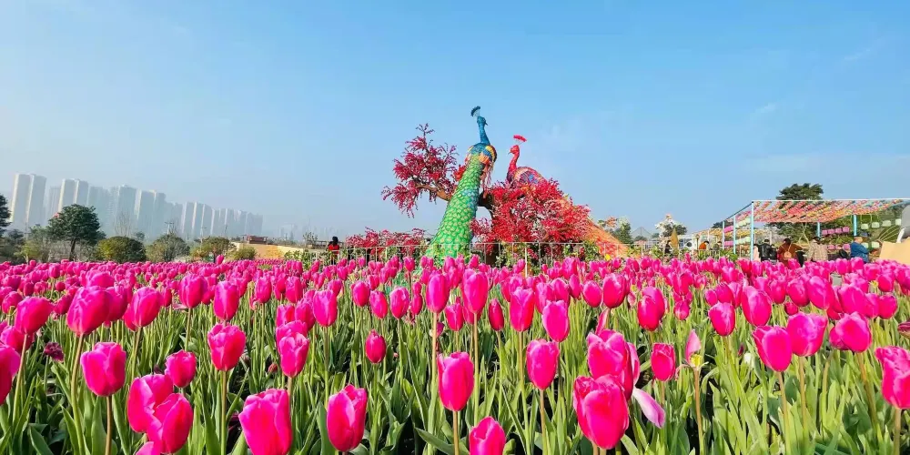 永安旅遊