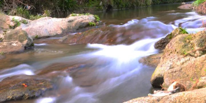 高安市華林山風景名勝區