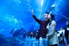 海滨城浩海立方海洋公园-成都-C-IMAGE