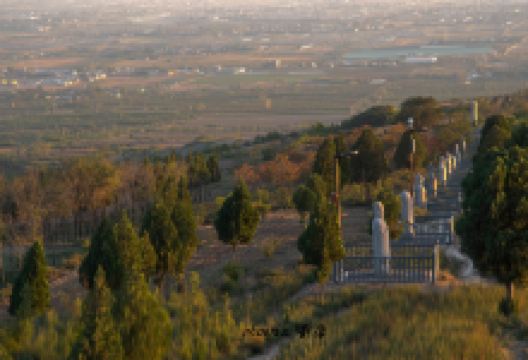 唐德宗崇陵景点图片