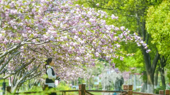 蘇州中國花卉植物園