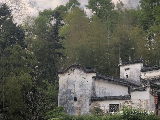 雷岗山翠竹林