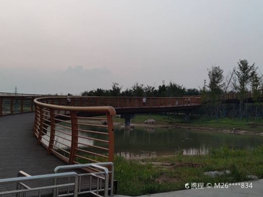 洪河湿地公园