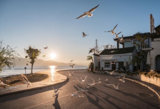 大理环海包车一日游【纯玩|酒店接送|一单一车|行程可定制】【多款车型自由选择、独立用车无缝接送、提供矿泉水、晴雨伞、抽纸巾、手机充电服务、为您带来舒适旅行体验】