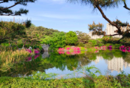 盆唐中央公园景点图片