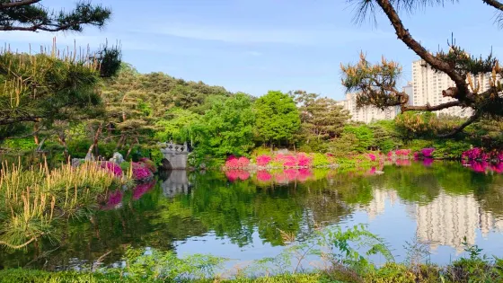 盆唐中央公園