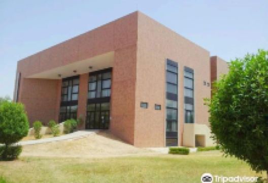 Musee National N'Djamena (National Museum)景点图片