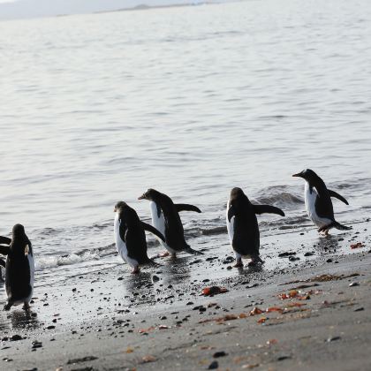 新西兰南岛+北岛12日9晚跟团游