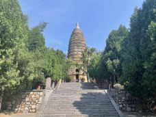 嵩阳景区-登封-岱山香橙