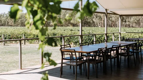 Banks Vineyard