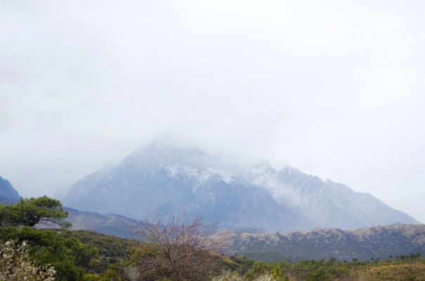 去玉龙雪山一日游,到底是跟团还是自助游比较好攻略?