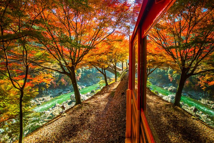 Best Time to Visit